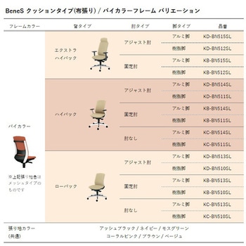 BeneS クッションタイプ 布張り バイカラーフレーム ローバック プラス(家具)