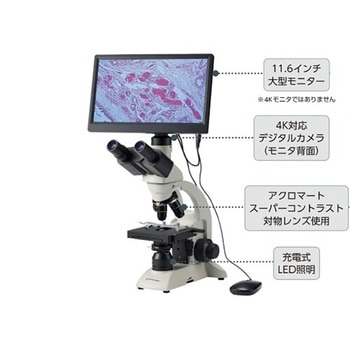 HDMI 4Kデジタルマイクロスコープ 生物顕微鏡 BA81シリーズ 島津理化