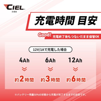 コンディショニングチャージャー D1 Power CIEL
