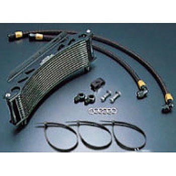 14039113B OIL�N�[���[KIT ���E���h #6 9-13R BLK�d�l ACTIVE(�A�N�e�B�u) 03544196