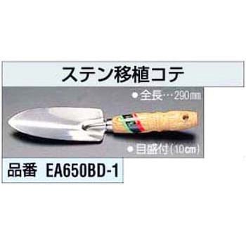 ステン移植ゴテ エスコ