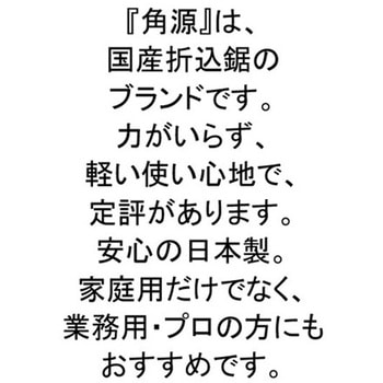 角源 折込鋸 Richbond