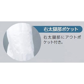 シームレスクリーン手袋(ビオマック・クラス100) アズワン