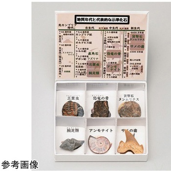 岩石標本 大江理工社