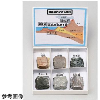 岩石標本 大江理工社