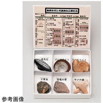 岩石標本 大江理工社