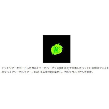 カルチャーカバー No.1 96枚入 松浪硝子