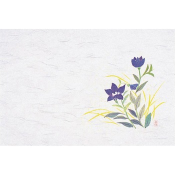 四季紙・千寿シリーズ尺3 100枚入 M30シリーズ マイン