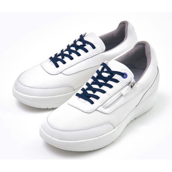 - �R���t�H�[�g�X�j�[�J�[ blu/�u�����[ ANEMONE �A�l���l ���b�L�[�x�� 03625846