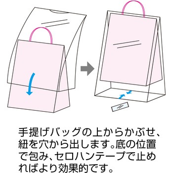 バイオレイニーポリ ササガワ