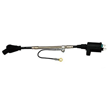 295011-19 IG�R�C����+SP�c�C��B/���t POSH Faith 03718882