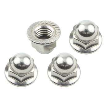 901010-S1 M10tW܃ibgP1.5 POSH Faith 03722443