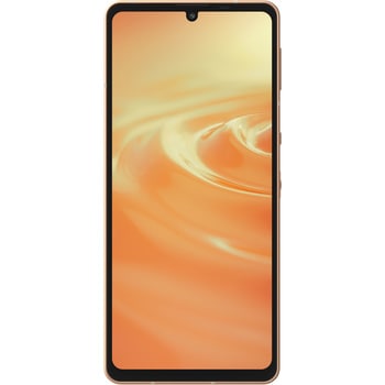 SHARP SIMフリー AQUOS sense6 SH-M19A RAM6GB/ROM128GBモデル