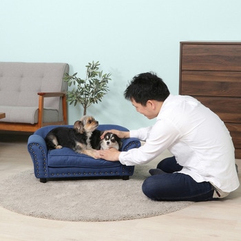 ペットソファ(チェスターフィールド風) 不二貿易