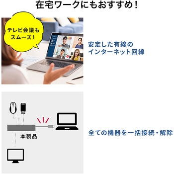 ドッキングステーション サンワサプライ