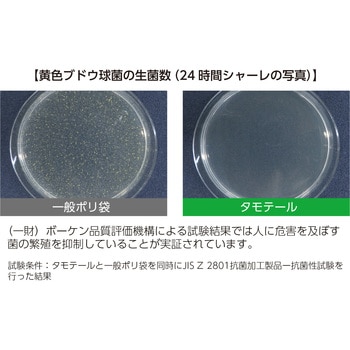 鮮度保持袋 タモテール 三共ポリエチレン