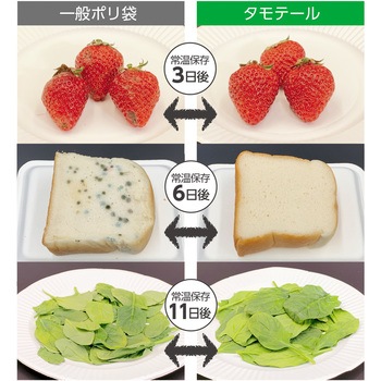 鮮度保持袋 タモテール 三共ポリエチレン