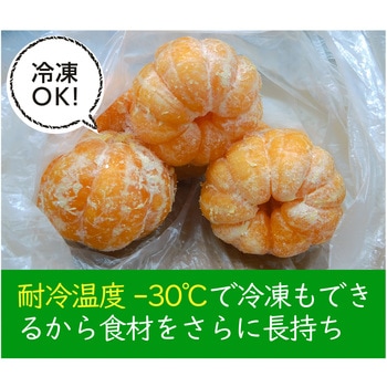 鮮度保持袋 タモテール 三共ポリエチレン
