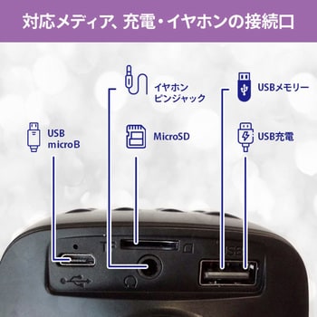 MIC-024(BL) カラオケマイク&スピーカー 1台 とうしょう 【通販