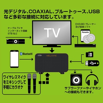 TKMI-008 アンプ内蔵カラオケスピーカー サウンドプロMAX TO-PLAN(東京