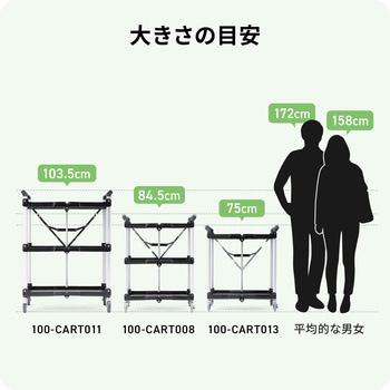 カート サンワダイレクト