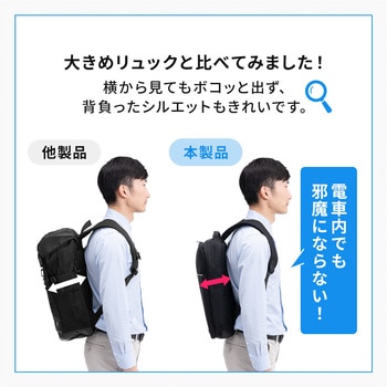 キャリングバック サンワダイレクト