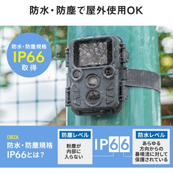 セキュリティカメラ サンワダイレクト