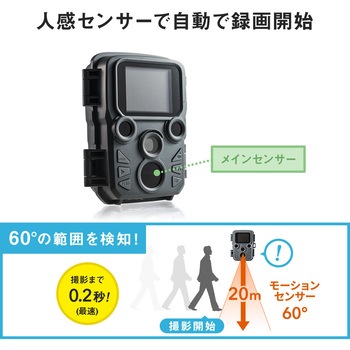 セキュリティカメラ サンワダイレクト