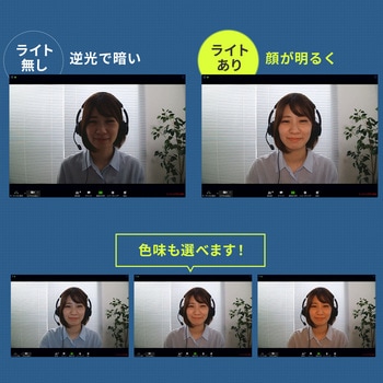 WEBカメラ サンワダイレクト