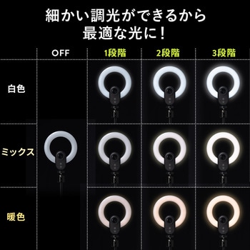 WEBカメラ サンワダイレクト