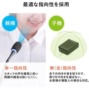 マイクシステム サンワダイレクト