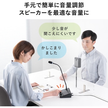 マイクシステム サンワダイレクト