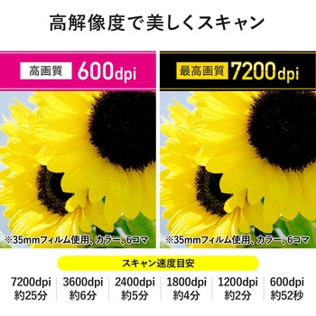 スキャナー サンワダイレクト