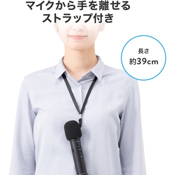 拡声器スピーカー サンワダイレクト