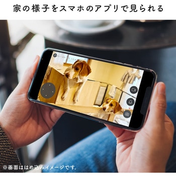 スマートホームカメラ サンワダイレクト