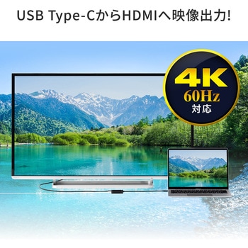 変換アダプタ サンワダイレクト
