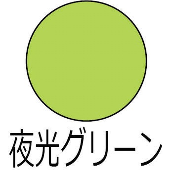 ヌーロ 水性工作用塗料(夜光つや消し) カンペハピオ