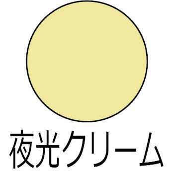 ヌーロ 水性工作用塗料(夜光つや消し) カンペハピオ