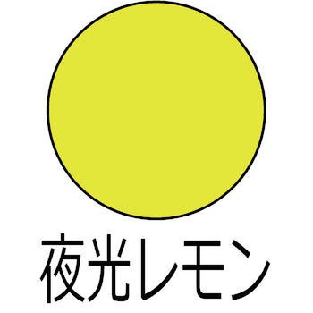 ヌーロ 水性工作用塗料(夜光つや消し) カンペハピオ
