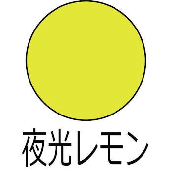ヌーロ 水性工作用塗料(夜光つや消し) カンペハピオ