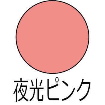 ヌーロ 水性工作用塗料(夜光つや消し) カンペハピオ
