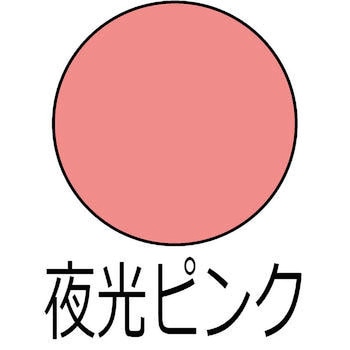 ヌーロ 水性工作用塗料(夜光つや消し) カンペハピオ