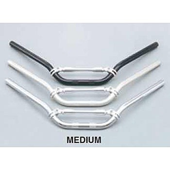 62580 BSCA~i[ DAYTONA(fCgi) 03953985