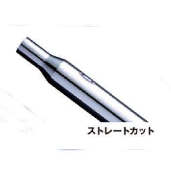 74151 S-ON}t[Xg[gJbgFLSTFB'10 DAYTONA(fCgi) 03977584