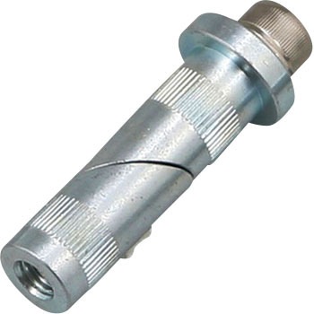 78577 }EgLbg15-17 }`o[z_[ DAYTONA(fCgi) 04012252