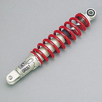 45210 KXVbN285MM/BW'S100 DAYTONA(fCgi) 04017798