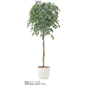 人工樹木カレン ベンジャミン H1800<配送時組立サービス付> イトーキ