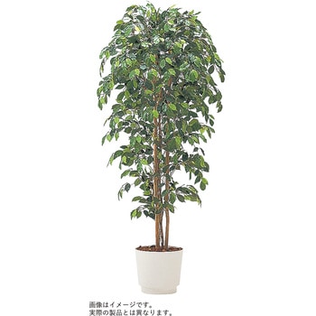 人工樹木カレン ニティダ H1500<配送時組立サービス付> イトーキ