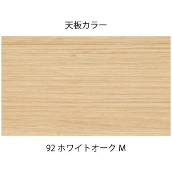 シンライン・エスキャビネット用 木目天板 W900×D450用<配送時組立サービス付> イトーキ