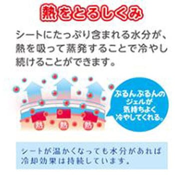 ケアナビ 熱とりタックん 大人用 新タック化成